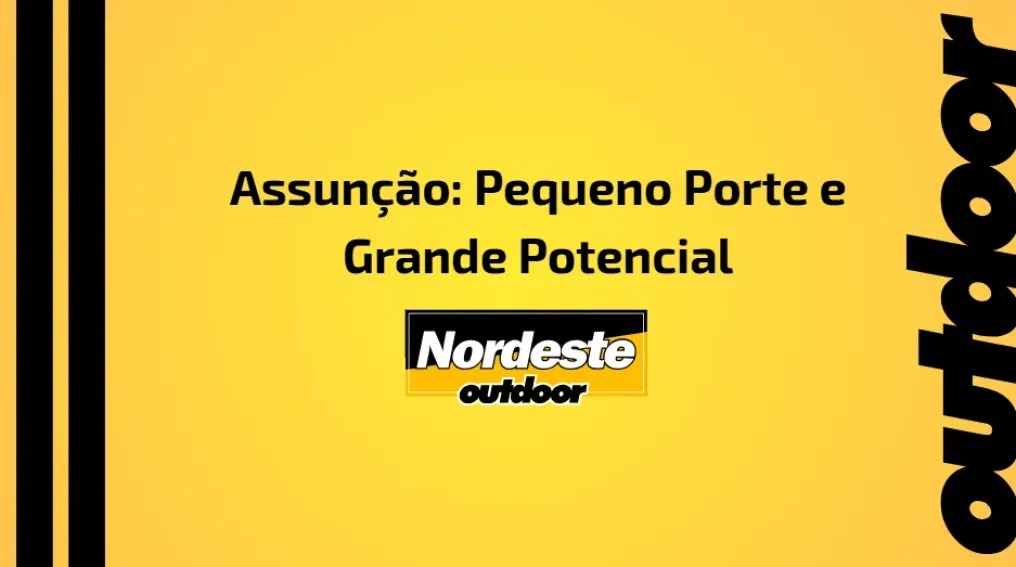 Assun&ccedil;&atilde;o: Pequeno Porte e Grande Potencial
