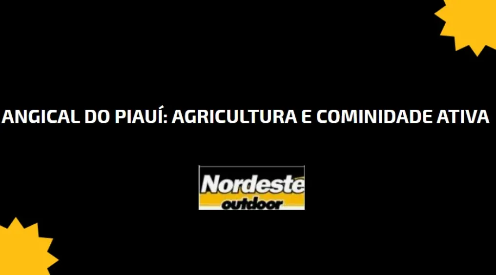 Angical do Piau&iacute;: Agricultura e Comunidade Ativa