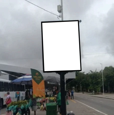 296no